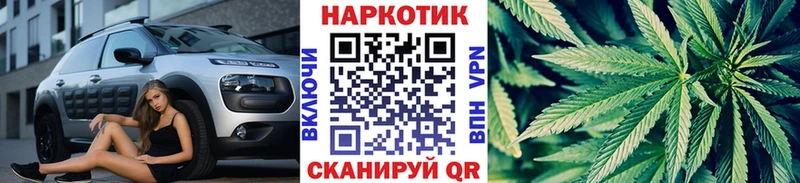 Псилоцибиновые грибы Краснознаменск