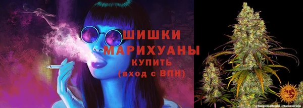 крисы Коряжма