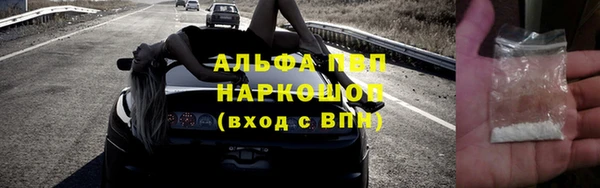 крисы Коряжма