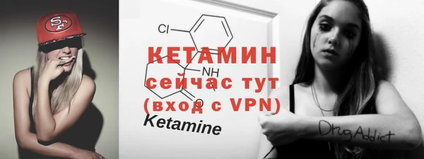 мдпв Краснослободск