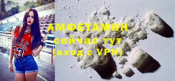 индика Кукмор