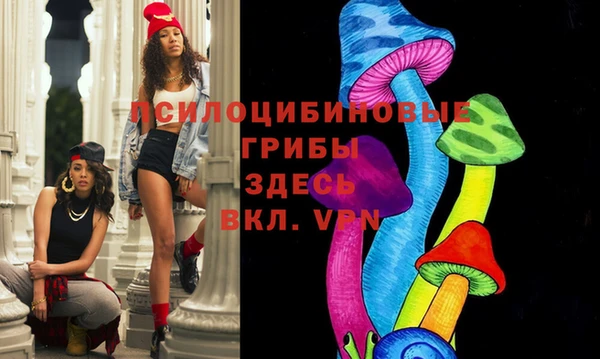 шишки Куйбышев