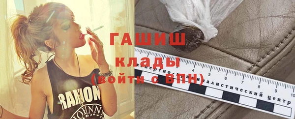 мдпв Краснослободск