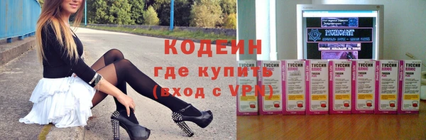 мдпв Краснослободск