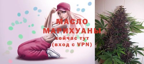 мдпв Краснослободск