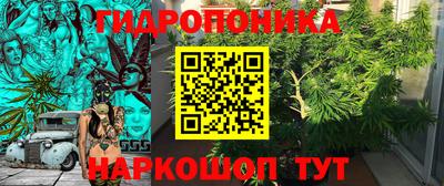 прущие крисы Гусев