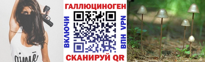 Галлюциногенные грибы Cubensis  Краснознаменск 