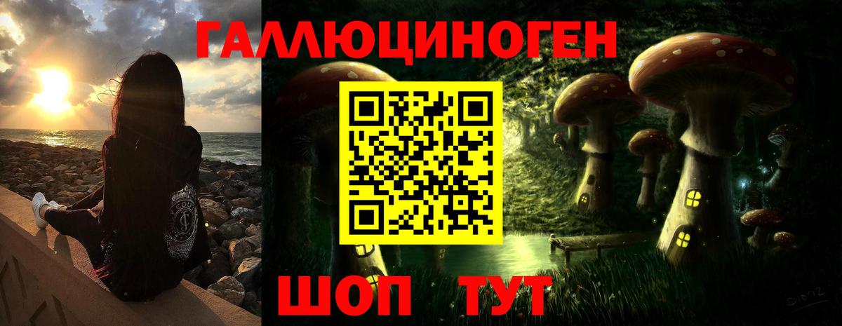 Краснознаменск  купить наркотики сайты  Вход с VPN  Галлюциногенные грибы Psilocybe  Галлюциногенные грибы прущие грибы 